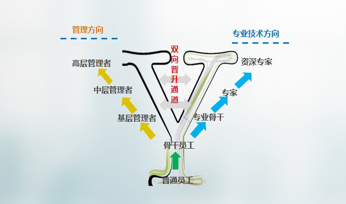 香港图库香港资料库