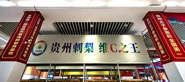 香港图库香港资料库